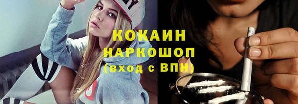 твердый Михайлов