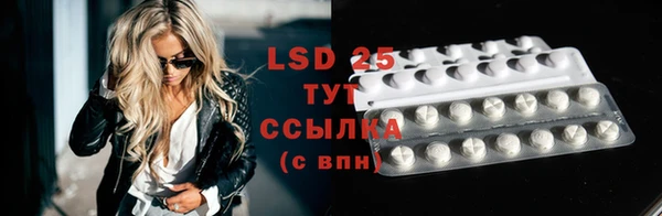 твердый Михайлов