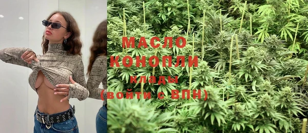 твердый Михайлов