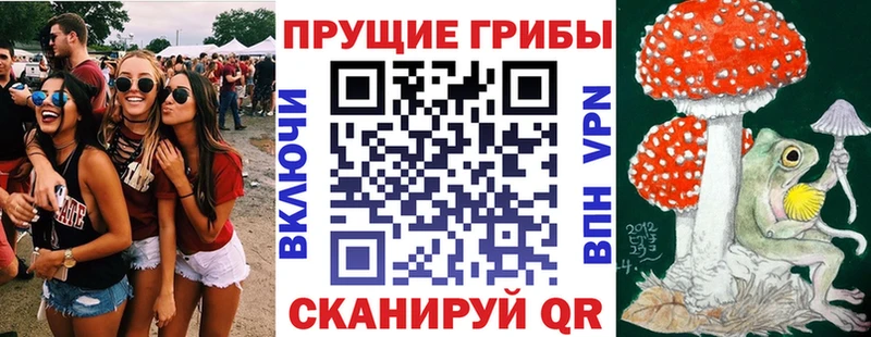 Галлюциногенные грибы GOLDEN TEACHER  Александровск-Сахалинский 